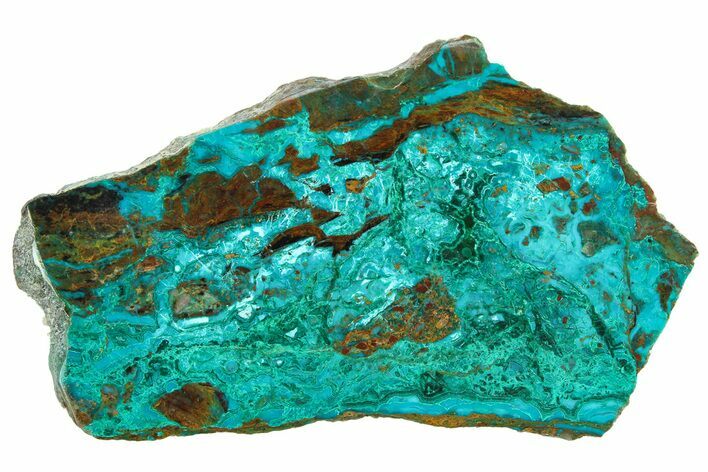 Polished Banded Chrysocolla and Malachite - Bagdad Mine, Arizona #298416